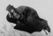 Atatürk’ün kar üstünde yattığı resim gerçeği