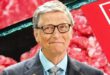Bill Gates ve Sivrisinek Planı